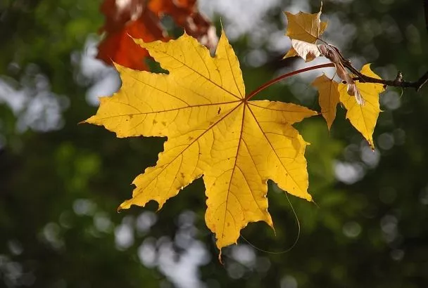 Когда прекратятся дожди и потеплеет в Краснодарском крае