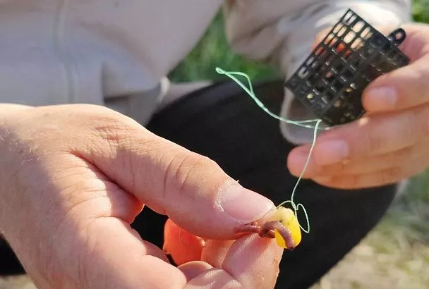 Купил фидер за 500 рублей для ловли карпов: сборка дармовой снасти и тест