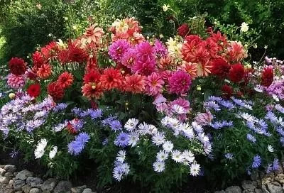 Такая клумба будет цвести вечно: 4 ключевых правила идеальной композиции