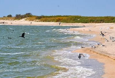 Ученые ЮНЦ РАН изучат морские косы Азовского моря