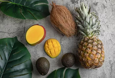 Аграрии Сочи планируют занять 40% рынка субтропической продукции в России