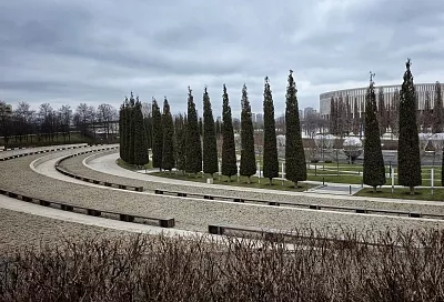 В парке Галицкого убрали электрический шалфей