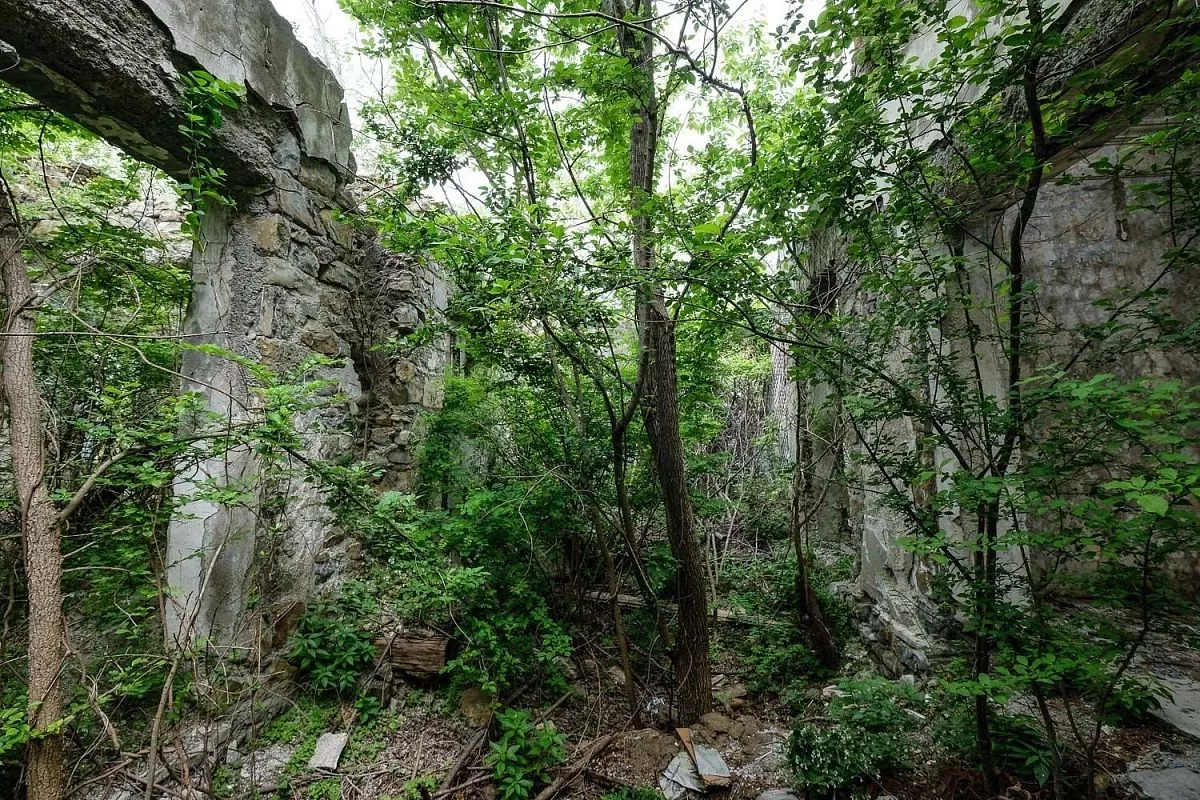 Дача Суворина в Туапсе.