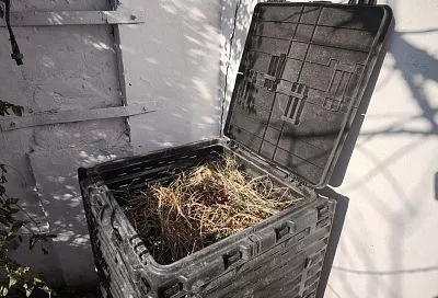 Придать ускорение: чем полить компостную кучу, чтобы она быстрее созрела