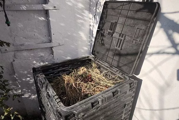 Придать ускорение: чем полить компостную кучу, чтобы она быстрее созрела