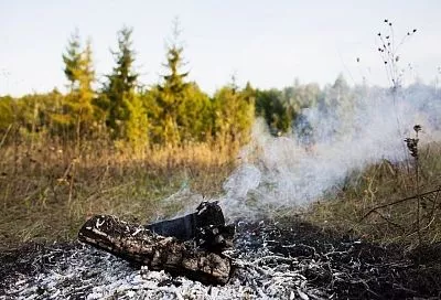 Обойдемся без штрафов: что и как можно сжигать на своем участке в 2025 году