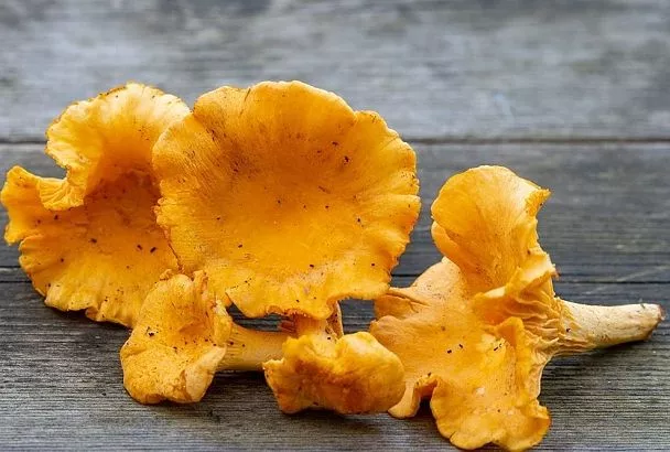 Рецепт ароматной картошки с лисичками: жарю так — и всегда золотистая корочка