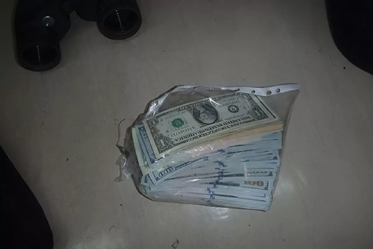 Капитан судна из Турции пытался незаконно провезти 33,8 тыс. долларов в порт Новороссийска