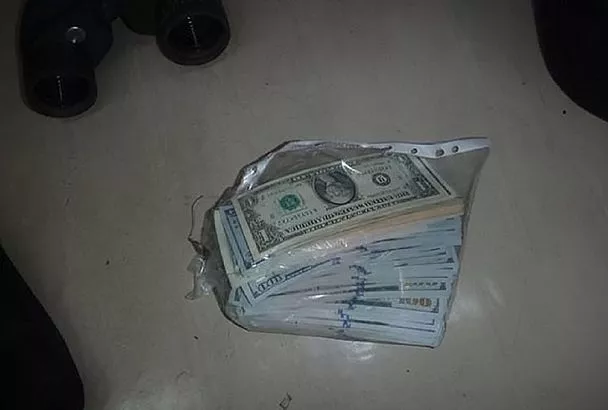 Капитан судна из Турции пытался незаконно провезти 33,8 тыс. долларов в порт Новороссийска