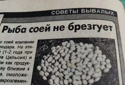 Ловлю карпа, линя и крупного леща на сою в жару — как приготовить и насадить