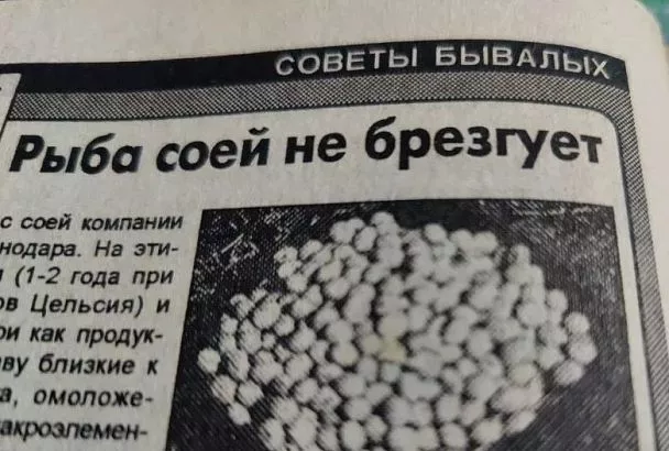 Ловлю карпа, линя и крупного леща на сою в жару — как приготовить и насадить