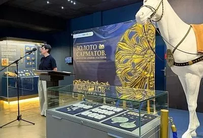 Более 300 ценных артефактов пополнили фонды краснодарского музея-заповедника имени Е. Д. Фелицына