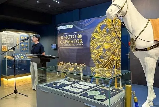 Более 300 ценных артефактов пополнили фонды краснодарского музея-заповедника имени Е. Д. Фелицына
