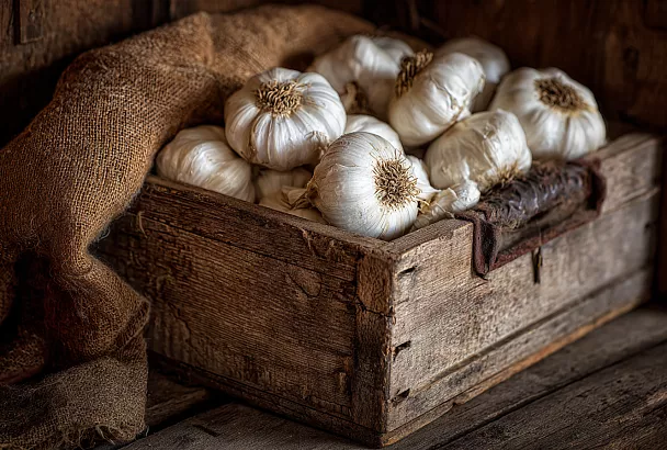 Эксперимент с посадкой чеснока: глубина, расстояние, размер зубков и неожиданный способ