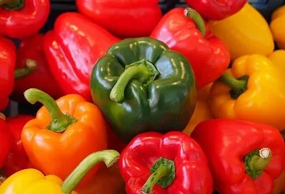 Без этой первой подкормки в марте урожай перцев и томатов не видать: пошаговый рецепт раннего питания рассады