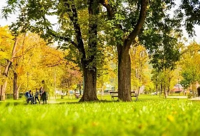 В Краснодарском крае в 2025 году благоустроили 103 зеленые зоны