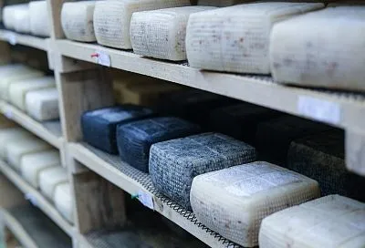Продукция кубанских фермеров получает признание на уровне страны