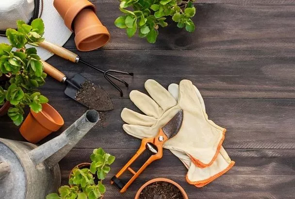 Лунный календарь садовода с 19 по 25 апреля: что можно и нельзя делать на участке в эти дни