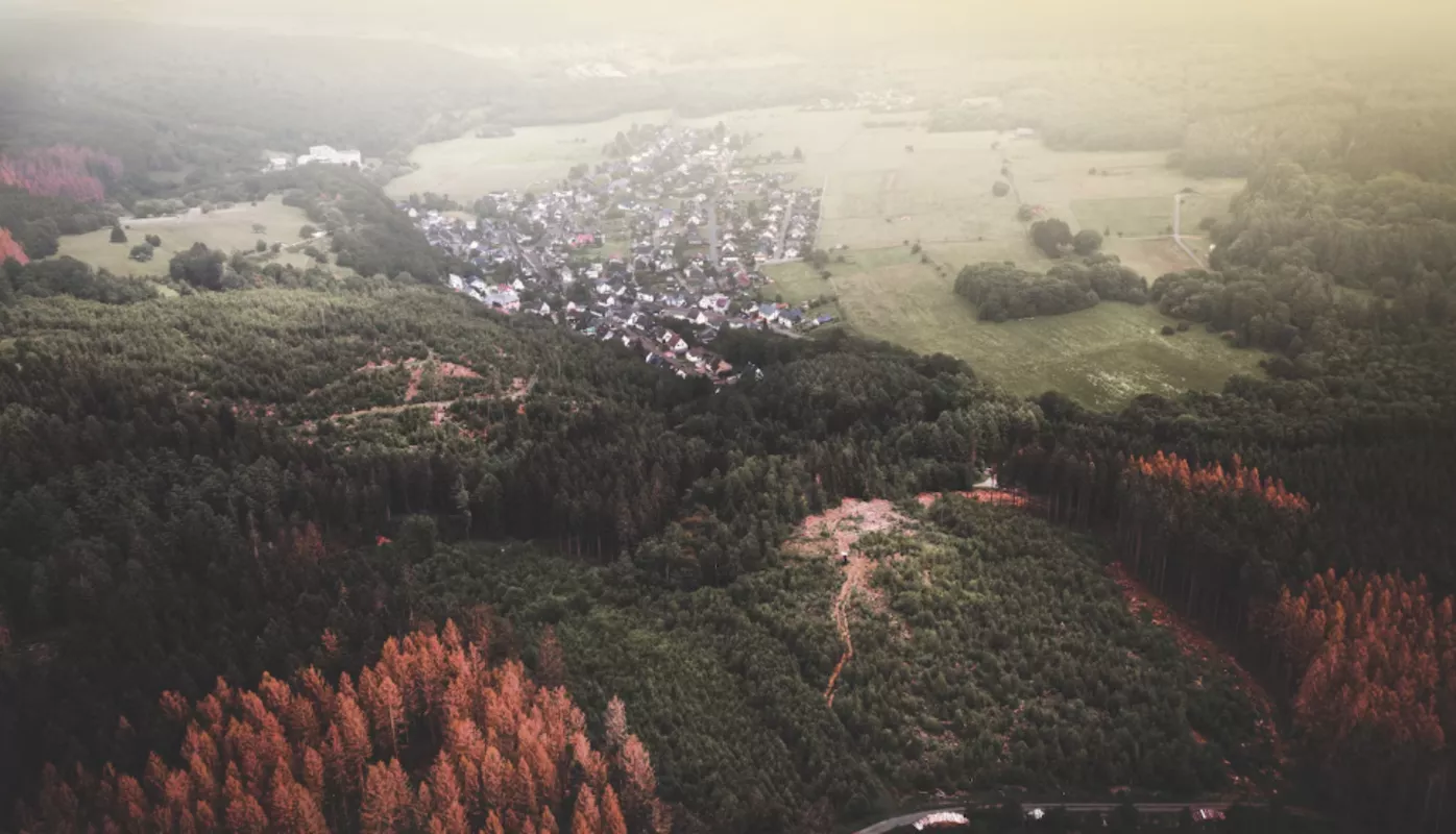 В России создан консорциум для космического мониторинга агроэкологии и лесных ресурсов