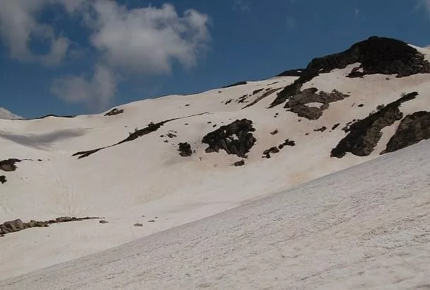 Почти 20 см снега намело за сутки в горах Сочи