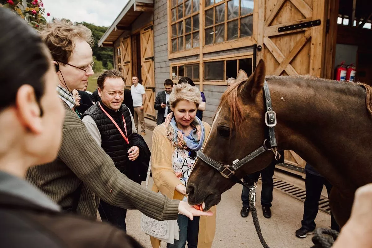 Сегодня на экоферме Экзархо с удовольствием встречают туристов со всех уголков мира. Сегодня на экоферме Экзархо с удовольствием встречают туристов со всех уголков мира.