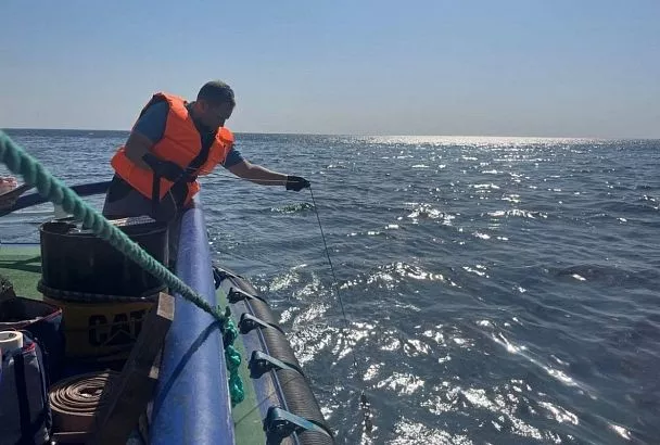 Около 30 кубометров нефти попало в море в результате разлива у Новороссийска
