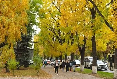 Краснодарцы рассказали, сколько планируют потратить на осеннюю одежду 