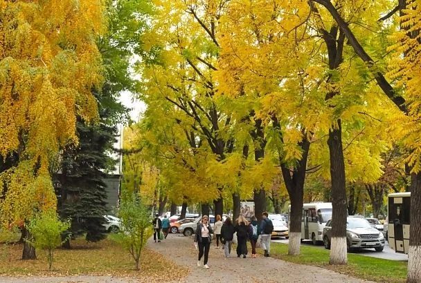 Краснодарцы рассказали, сколько планируют потратить на осеннюю одежду 