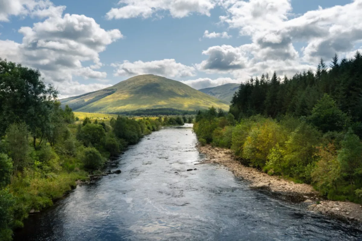 Учёный допустил поворот сибирских рек в Центральную Азию для решения проблем с водой