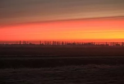 Операция в Йемене, оливки на банкнотах в Сирии и полярное сияние на юге России: что произошло в мире к утру 30 декабря