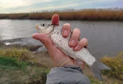 Общий интерес вместо скандалов: психолог рассказала, как приучить жену к рыбалке