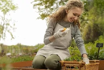 Лунный календарь садовода с 27 сентября по 3 октября: в какие дни выходить в огород пораньше, а когда лопату поставить в угол 