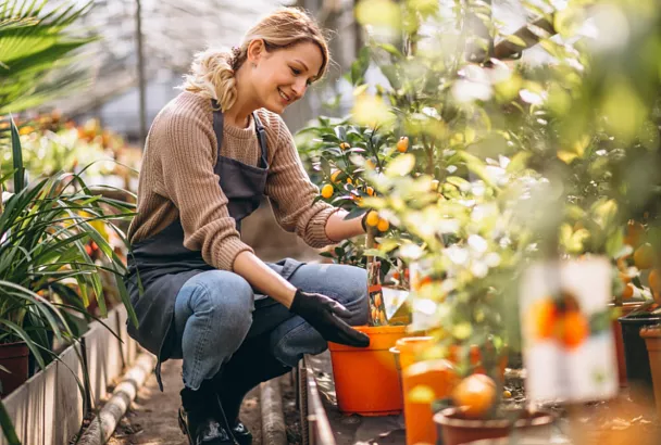 Кубанские садоводы получили рекордные 394 миллиона рублей страховых выплат за потерю урожая в 2025 году