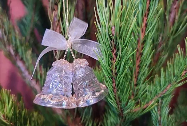 Более 250 елочных базаров и ярмарок работают на Кубани