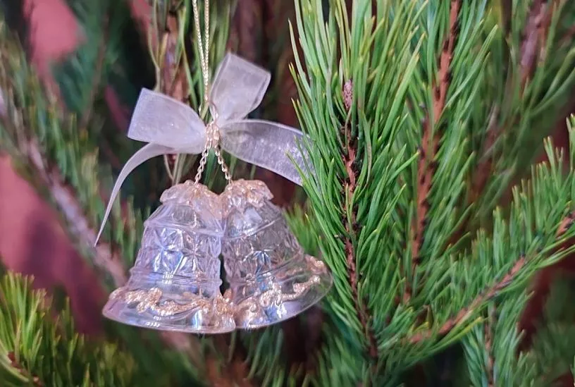 Более 250 елочных базаров и ярмарок работают на Кубани