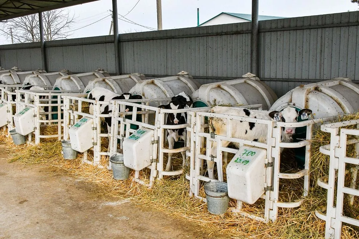 ФГУП "Кореновское"