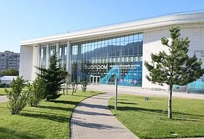 Будущее уже здесь: в Геленджике представили новейшие разработки для жизни