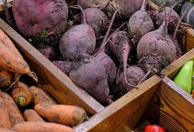Ярмарки выходного дня откроются в Краснодаре 19 сентября по четырем адресам