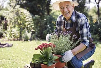 Лунный календарь садовода-огородника: благоприятные и неблагоприятные дни с 29 марта по 5 апреля