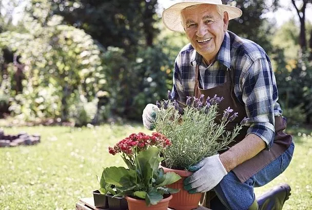 Лунный календарь садовода-огородника: благоприятные и неблагоприятные дни с 29 марта по 5 апреля