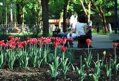 В Красноармейском районе два парка благоустроят в рамках нацпроекта