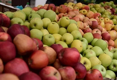 За свежими фруктами - к местным фермерам. Где будут работать ярмарки выходного дня 6 сентября в Краснодаре