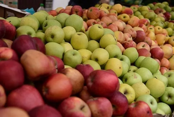 За свежими фруктами - к местным фермерам. Где будут работать ярмарки выходного дня 6 сентября в Краснодаре