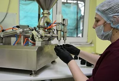 Бизнес растет и наполняет бюджет: почему предприниматели любят Краснодар 