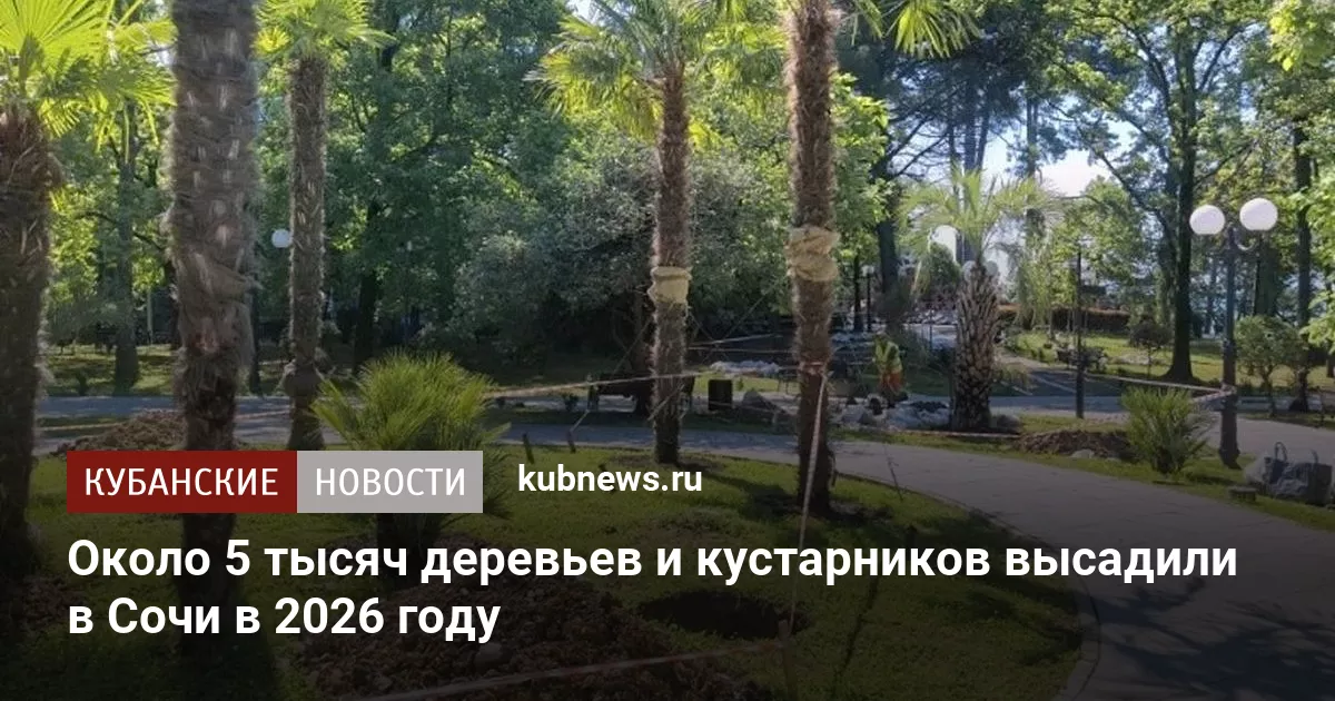 Около 5 тысяч деревьев и кустарников высадили в Сочи в 2026 году