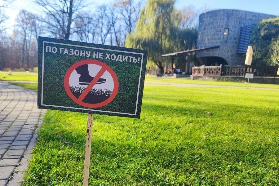 Убить маргаритку: как избавиться от нежелательных цветов на газоне