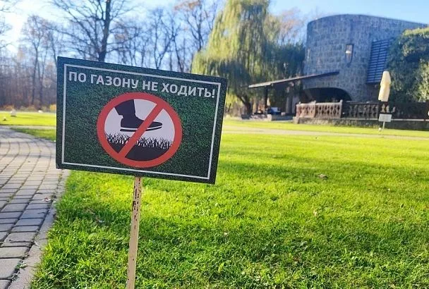 Убить маргаритку: как избавиться от нежелательных цветов на газоне