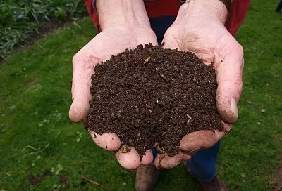 Замените навоз компостом: «чёрное золото» для суперурожая от агронома Сергеева