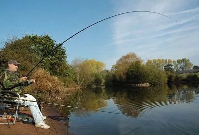 Сменил глубину ловли так — и карп сразу клюет: как найти трофей в толще воды