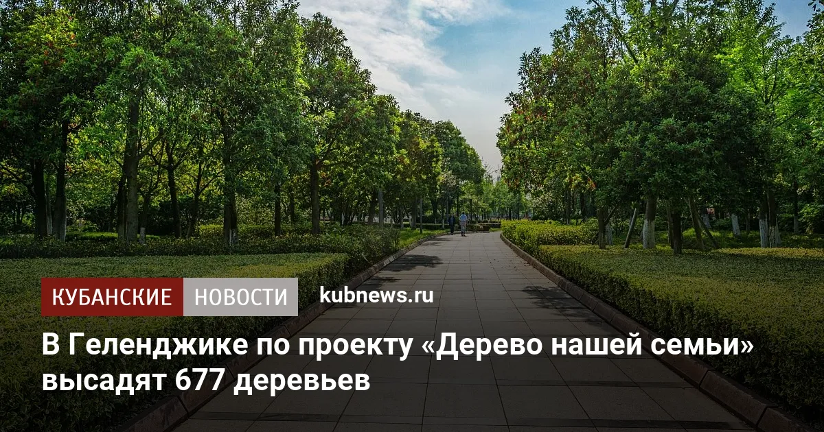 В Геленджике по проекту «Дерево нашей семьи» высадят 677 деревьев